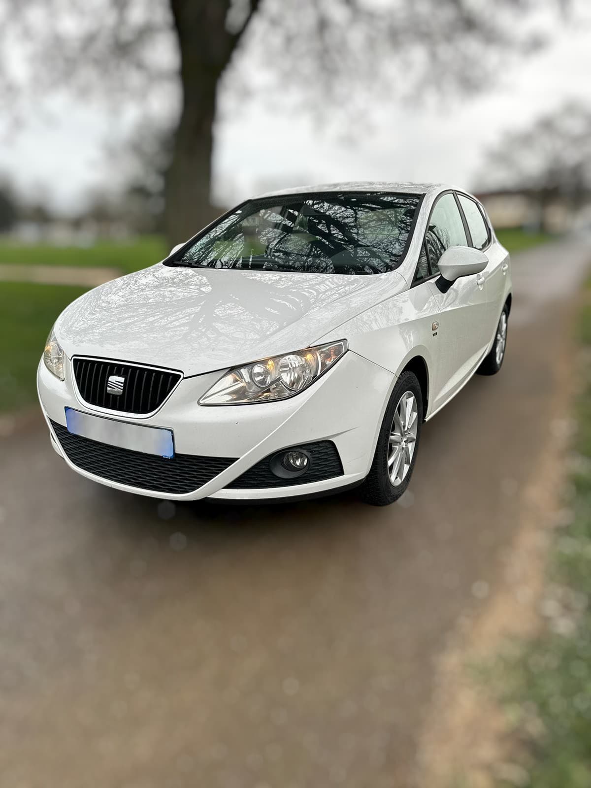 Seat Ibiza 1.6 TDI Style 2010 Diesel - photo avant