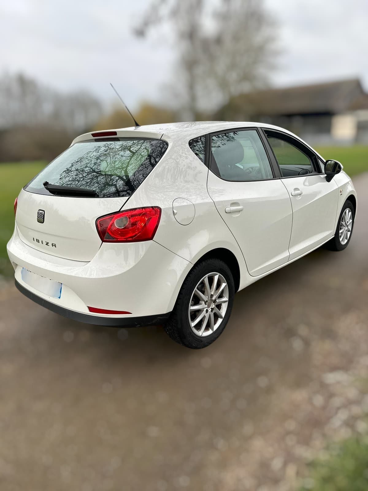 Seat Ibiza 1.6 TDI Style 2010 Diesel - volant